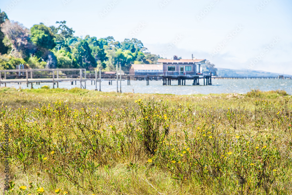 Obraz premium Stilt Houses on the California Coast