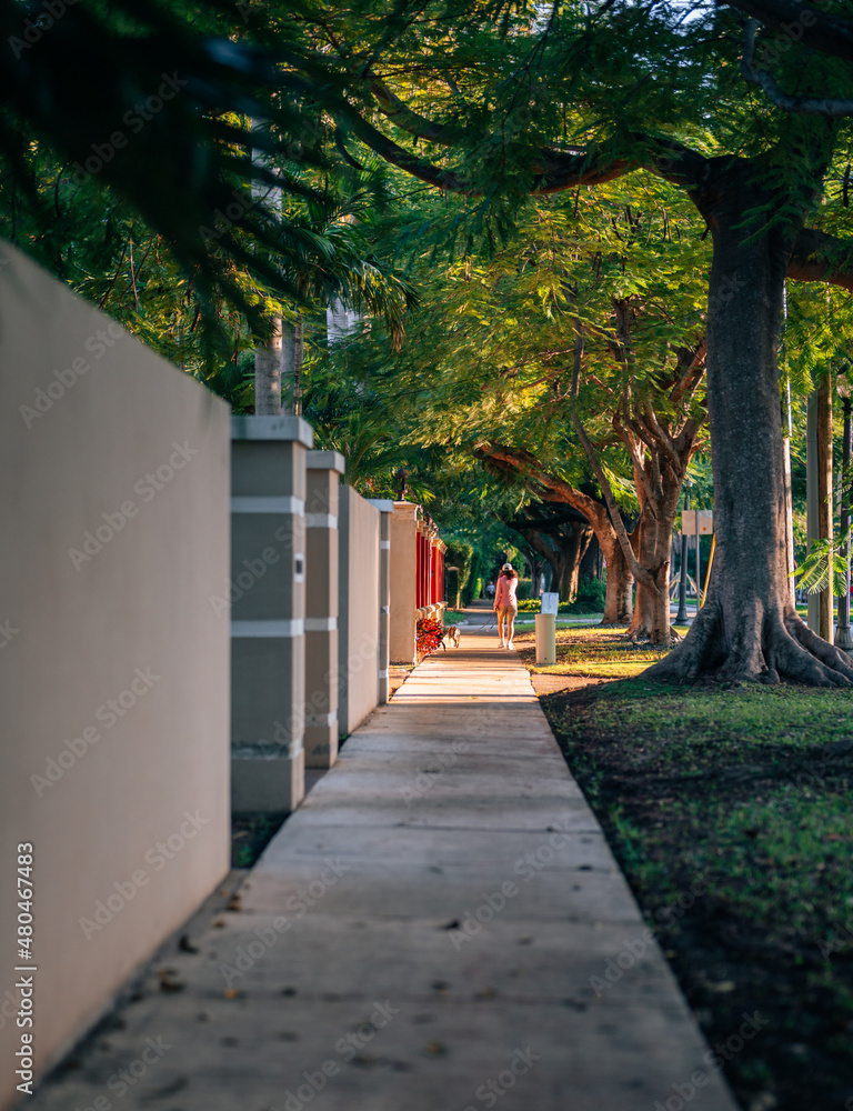 alley in the autumn sidewalk person walking dog miami 
