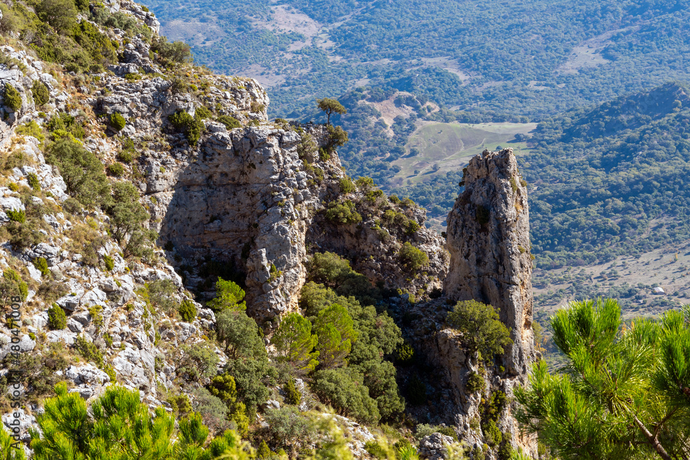 Naklejka premium The aguja needle seen from the Mirador or viewpoint of Puerto de las Palomas in the Sierra de Grazalema Natural Park in the rural Spanish country side near Grazalema, Spain.
