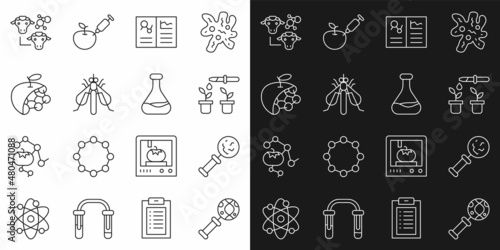 Set line DNA research, search, Microorganisms under magnifier, Pipette and plant, Clinical record, Experimental insect, Biological structure, Cloning and Test tube flask icon. Vector