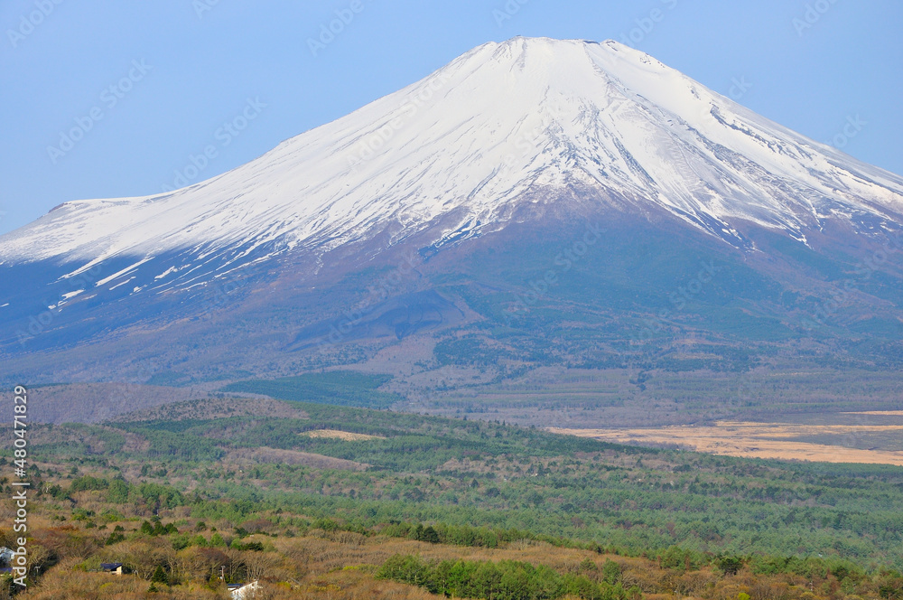 山中湖村パノラマ台より望む春の富士山
