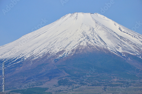 山中湖村パノラマ台より望む春の富士山 
