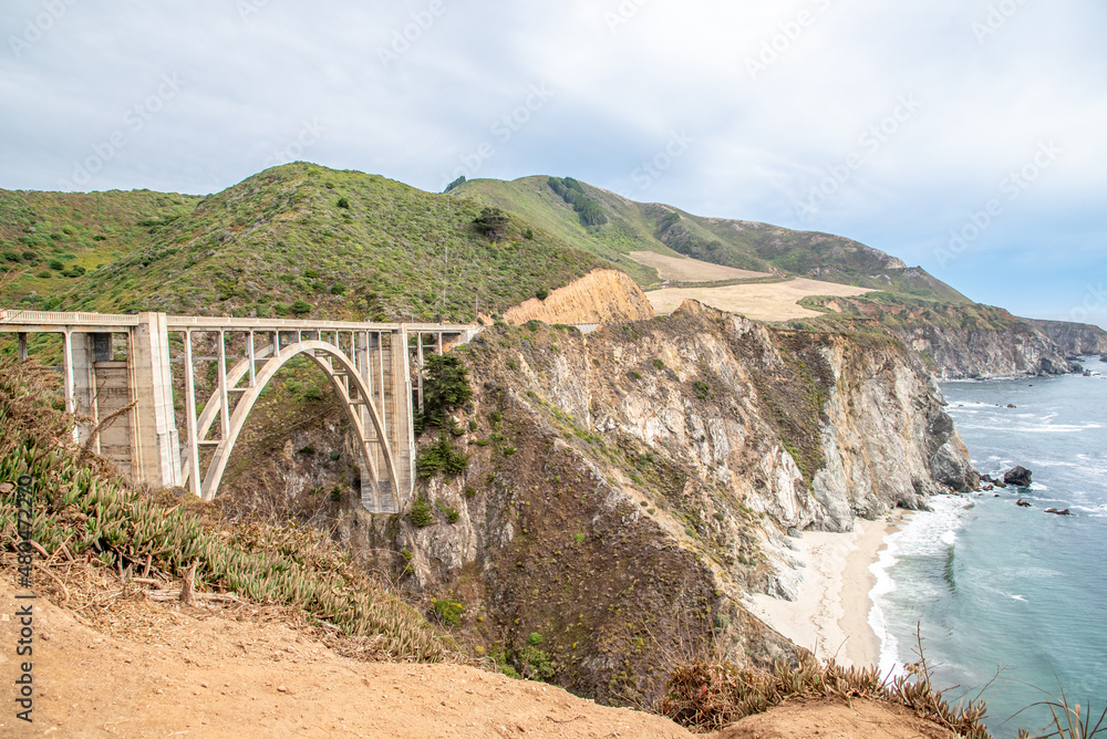 Flowers by Bixby Bridge Along the Pacific Coast Highway in California Flowers by Bixby Bridge Along the Pacific Coast Highway in California