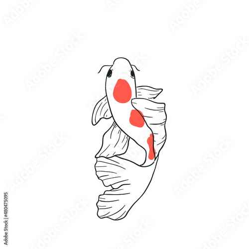 design vector fish KOI
