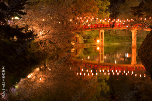 夜桜と赤い橋