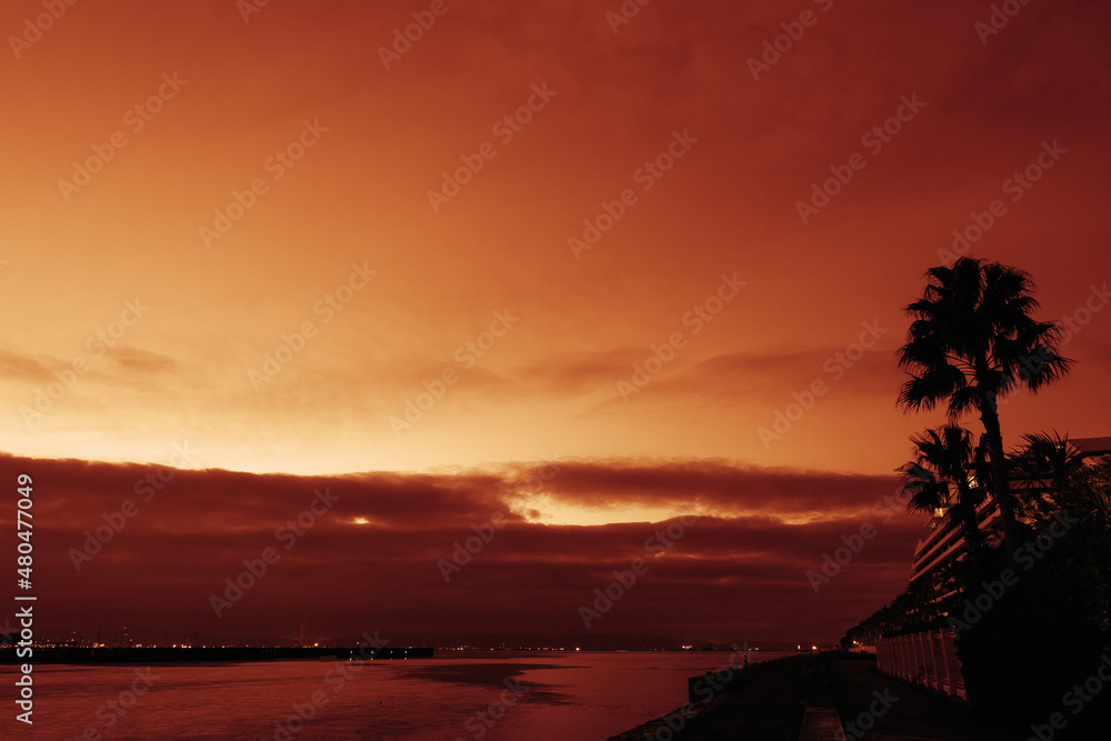 都市の夜明け。海沿いの椰子の木とホテルが日の出とともにシルエットで浮かび出す。兵庫県芦屋市の芦屋浜で早朝撮影