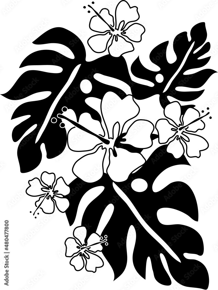 モンステラとハイビスカスのイラスト 白黒 Stock Illustration Adobe Stock
