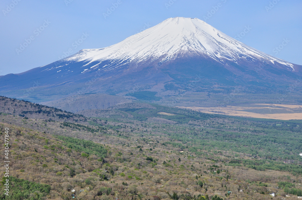鉄砲木ノ頭の山頂より望む春の富士山
