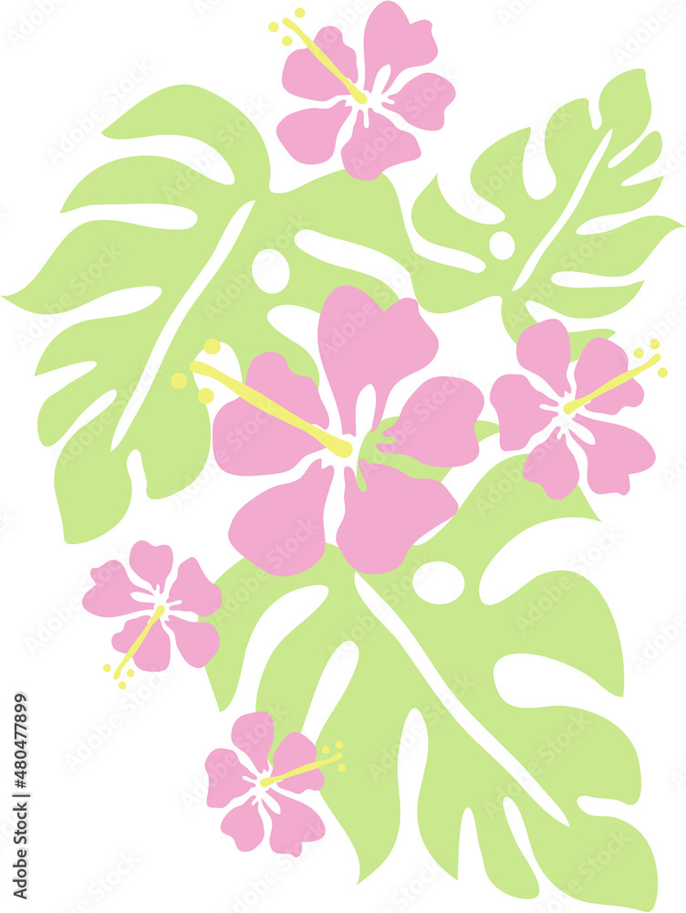 モンステラとハイビスカスのイラスト ライトカラー Stock Illustration Adobe Stock モンステラとハイビスカスのイラスト ライトカラー Stock Illustration Adobe Stock