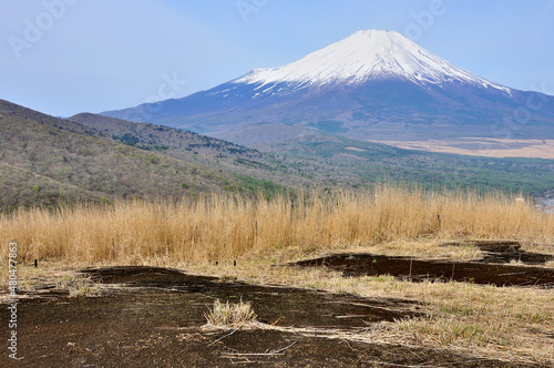 鉄砲木ノ頭の山頂より望む春の富士山
