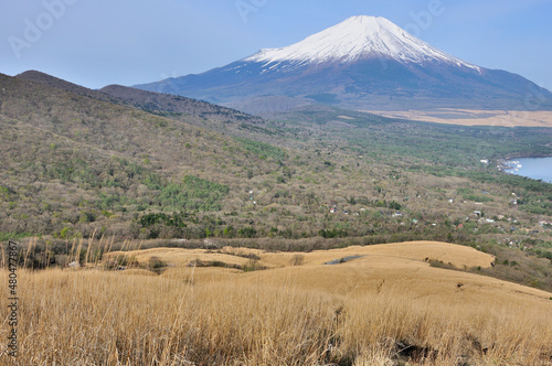 丹沢の鉄砲木ノ頭より望む春の富士山 