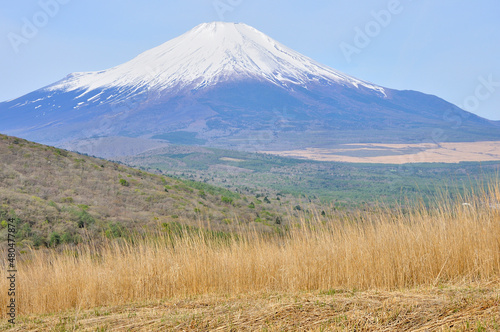 鉄砲木ノ頭の山頂より望む春の富士山 