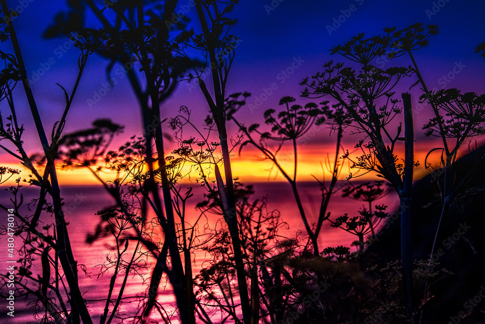 Naklejka premium Sunset in California on Pacific Coast Highway One