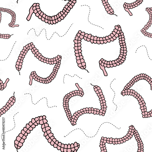 Bowel texture repeating pattern for gastroenterologist background. Fun gut shaped doodles, internal organs wallpaper