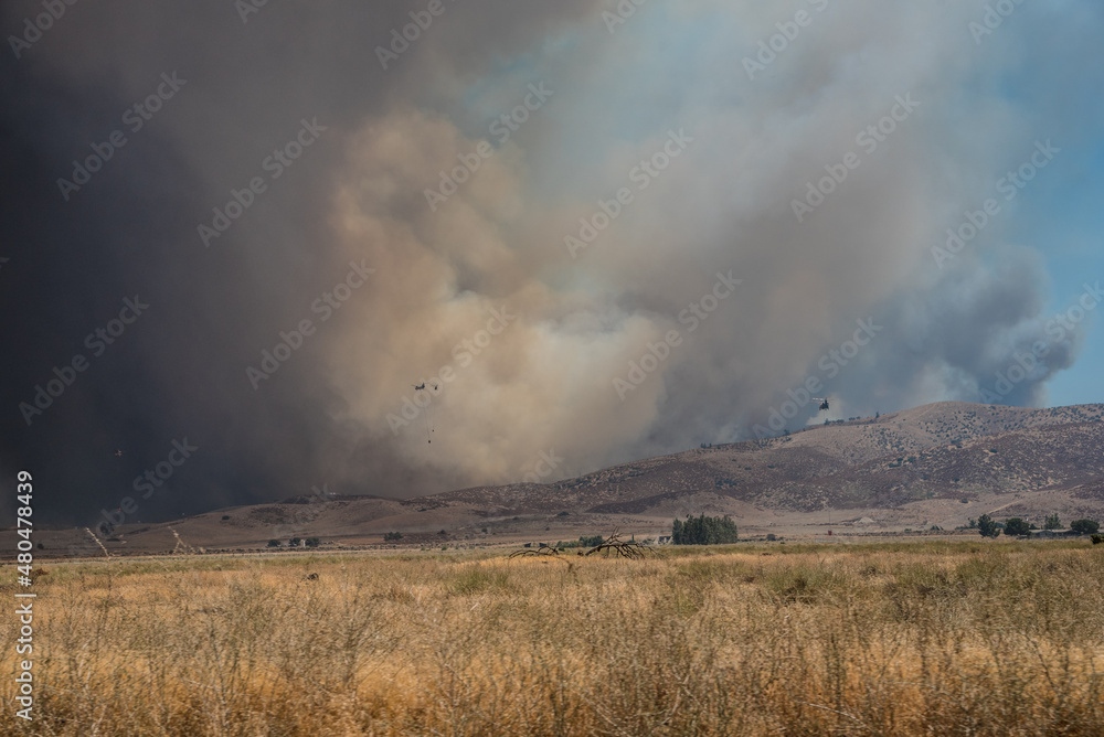 Wildfire in the California Wilderness