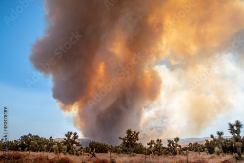 Wildfire in the California Wilderness