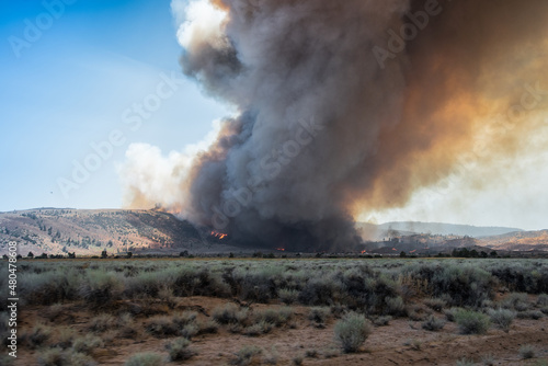Wildfire in the California Wilderness