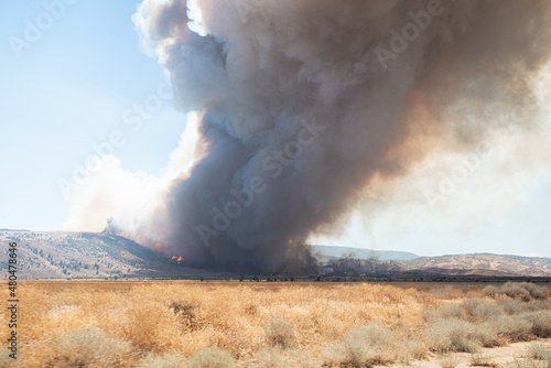 Wildfire in the California Wilderness