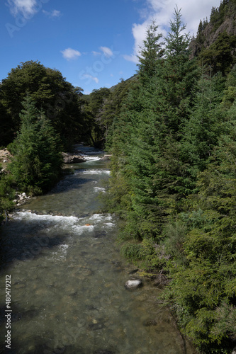 View of Casa de Piedra river flowing across the mountain and pine trees forest in a sunny day.  photo