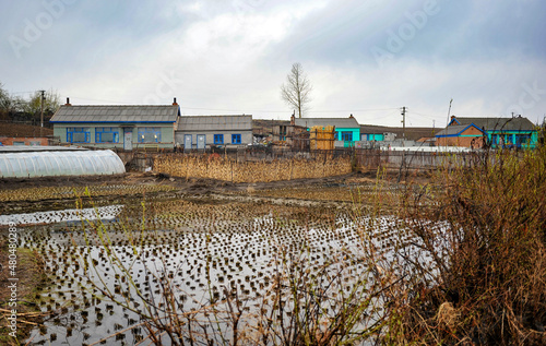 In early spring, the rural landscape of northeastern China includes farmyards, fields, ponds and ducks.