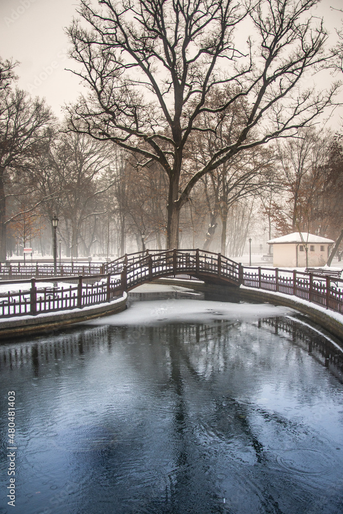 Frozen lake in the city park in December 2022, Bistrita, Romania 