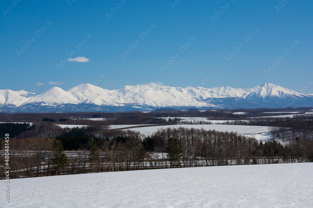 雪が残る春の畑作地帯と雪山　十勝岳連峰
