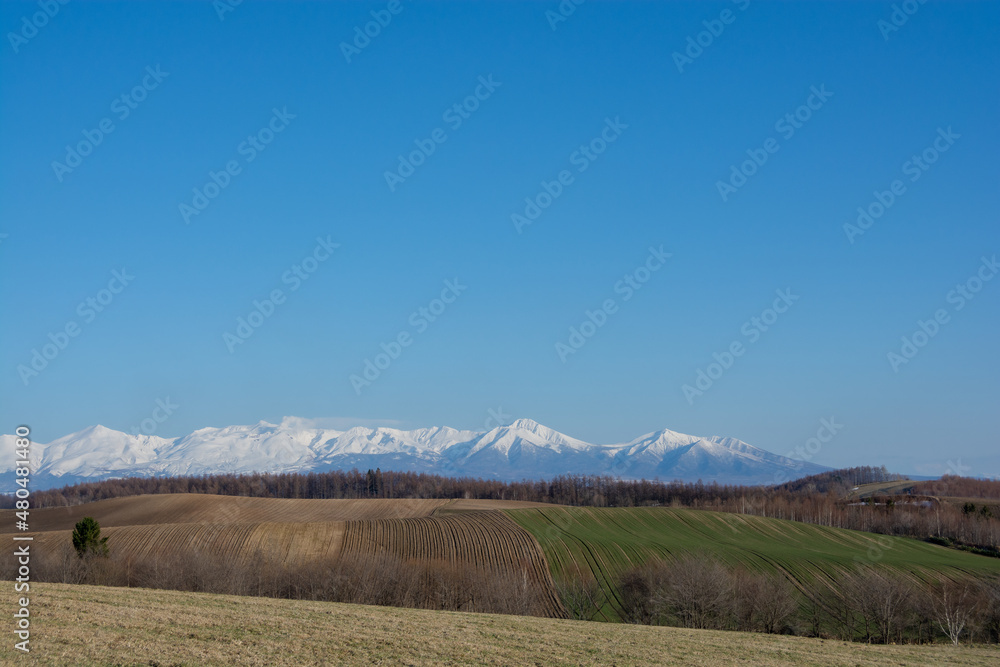 Naklejka premium 春の丘陵畑作地帯と雪山 十勝岳 