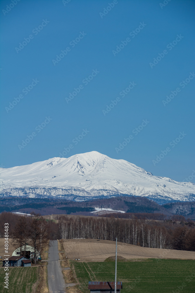 Fototapeta premium 春の丘陵畑作地帯と残雪の山並み 大雪山 