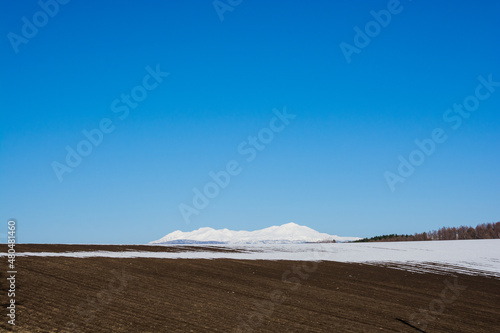 残雪の残る畑と雪山と青空 大雪山 