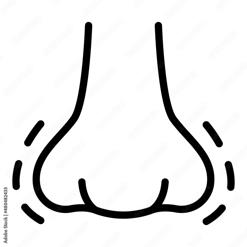 Nose anatomy icon outline vector. Surgery face Nose anatomy icon outline vector. Surgery face