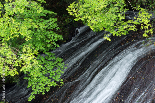 新緑と布の滝のアップ © varts