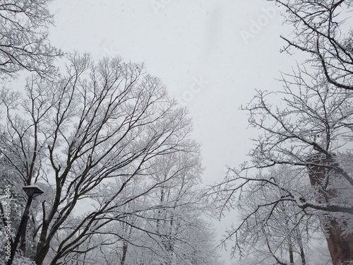 Wallpaper Mural DCIM\PANORAMA\100_0249\DJI Torontodigital.ca