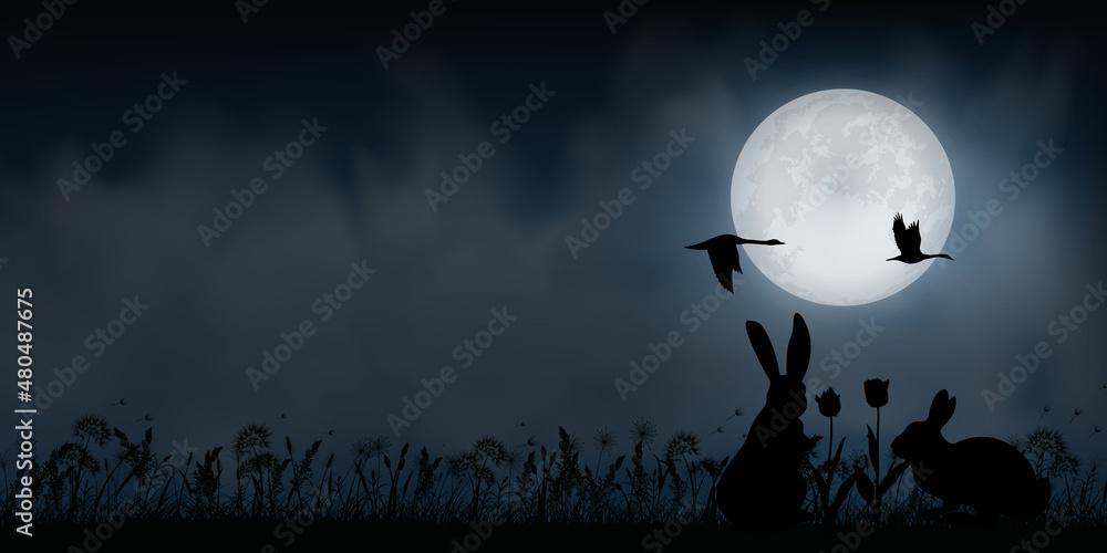 grass silhouette with full moon
