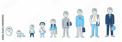 男性の成長段階