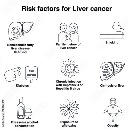 Risk factor for liver cancer outline flat vector icon collection set