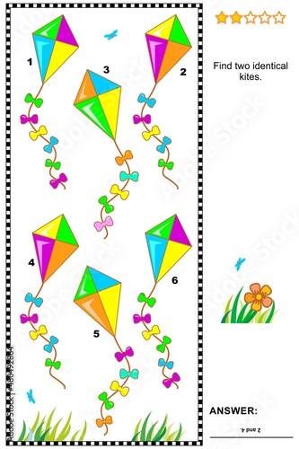 Find two identical kites. Visual puzzle or picture riddle. Answer included.
