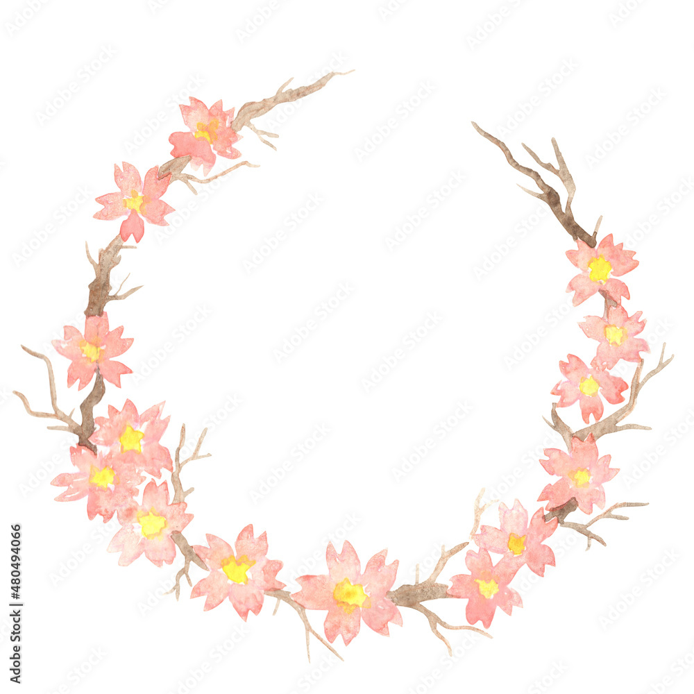 Sakura or Cherry blossom flower wreath watercolor illustration for decoration on oriental art and Chinese new year