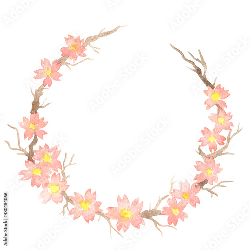 Sakura or Cherry blossom flower wreath watercolor illustration for decoration on oriental art and Chinese new year