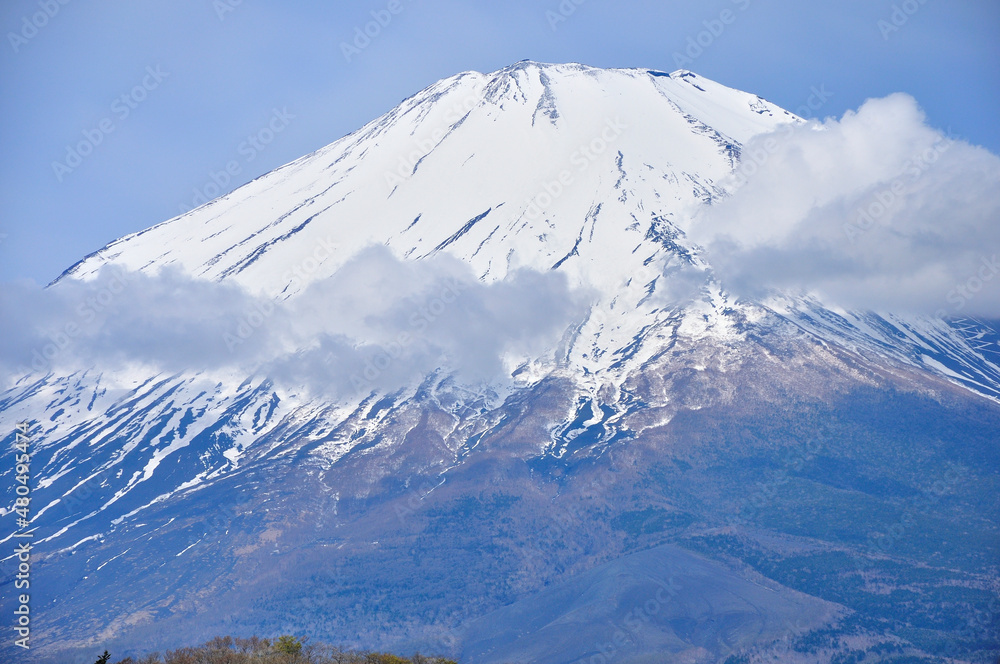 雲湧く早春の富士
