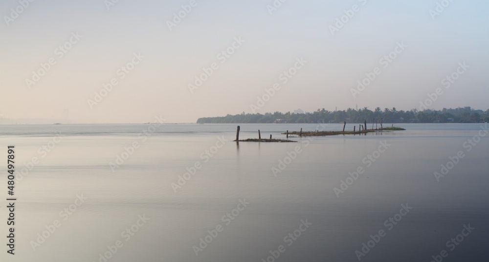 Long exposure of Line of coconut tree pillars in the lake