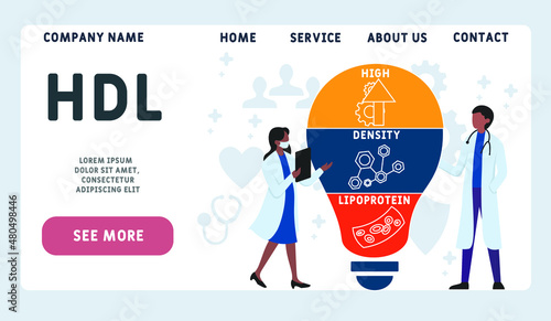 HDL - High-density lipoprotein acronym. business concept background.  vector illustration concept with keywords and icons. lettering illustration with icons for web banner, flyer, landing 