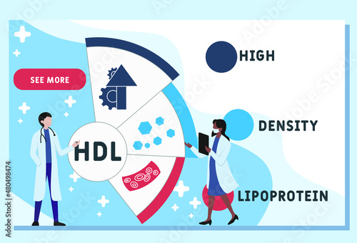 HDL - High-density lipoprotein acronym. business concept background.  vector illustration concept with keywords and icons. lettering illustration with icons for web banner, flyer, landing 