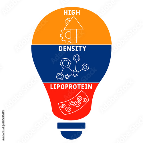 HDL - High-density lipoprotein acronym. business concept background.  vector illustration concept with keywords and icons. lettering illustration with icons for web banner, flyer, landing 