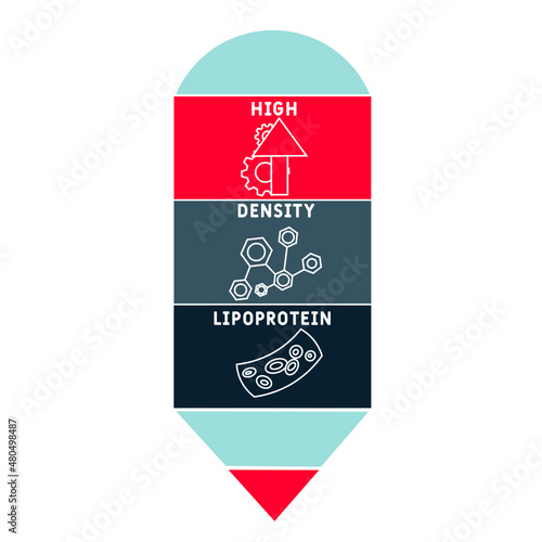 HDL - High-density lipoprotein acronym. business concept background.  vector illustration concept with keywords and icons. lettering illustration with icons for web banner, flyer, landing 