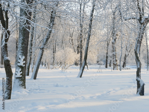 Winter landscape - a snow-covered park with beautiful trees, covered with hoarfrost. A Christmas picture - a winter forest, a sunny day in a fairy-tale park. © Svetlana