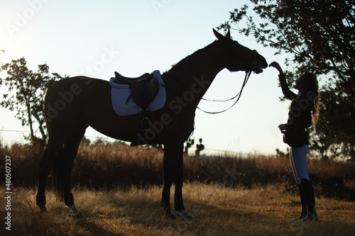 Silouette of young woman with curly hair feeding her horse in a sunny morning