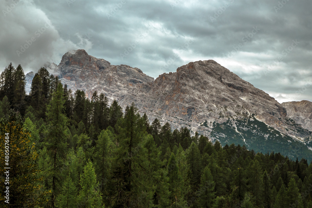 Obraz premium Forest and dolomite alps during a cloudy day, Italy, Trentino
