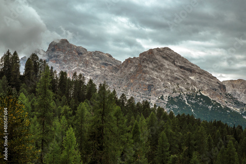Forest and dolomite alps during a cloudy day, Italy, Trentino