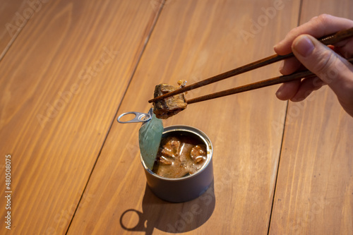 日本の鯖の缶詰