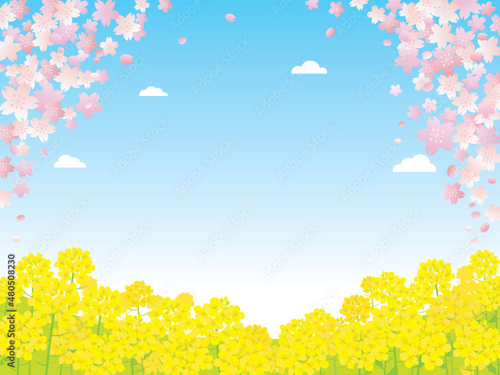 春の桜と菜の花の風景イラスト Stock Vector Adobe Stock